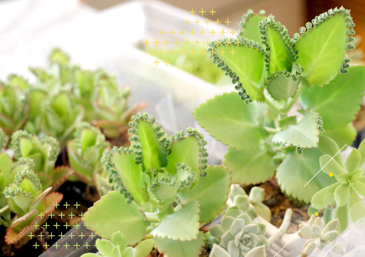 就労支援Bエール万富の仕事内容バナー